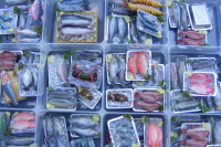 doll-house-miniature-fish-on-trays