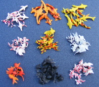 doll-house-miniature-goldfish-&-koi-carp