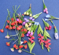 Dolls-house-minature-single-flowers