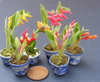 dolls-house-miniature flowers bird of paradise pot all