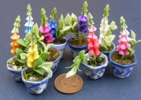 dolls-house-miniature flowers foxglove p all