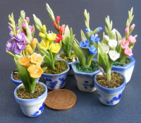 dolls-house-miniature flowers gladioli p all