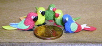 dolls-house-miniature-baby-parrot