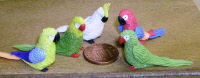 dolls-house-miniature-parrots
