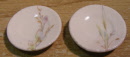 2ppplates pp5