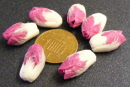 6 chicory