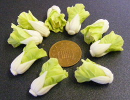 6 chinese leaf lettuce