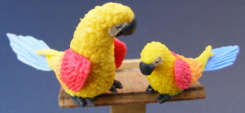 adult-and-baby-dolls-house-miniature-parrot-p10