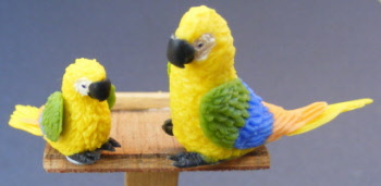 adult-and-baby-dolls-house-miniature-parrot-p11