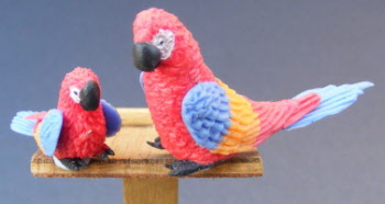 adult-and-baby-dolls-house-miniature-parrot-p12