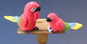 adult-and-baby-dolls-house-miniature-parrot-p15