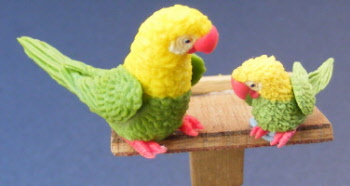 adult-and-baby-dolls-house-miniature-parrot-p17