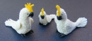baby-and-parents-dolls-house-miniature-cockatoo-c1