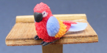 baby-dolls-house-miniature-parrot-p12