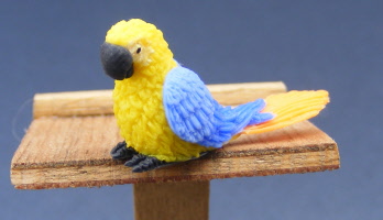 baby-dolls-house-miniature-parrot-p13