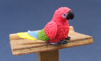 baby-dolls-house-miniature-parrot-p15