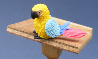 baby-dolls-house-miniature-parrot-p4