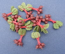 beetroot bunches of 5