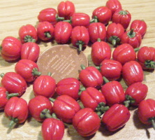bell pepper red