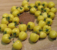 bell peppers yellow