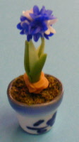 blue aluninum s