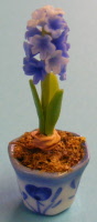 blue hydrangia s
