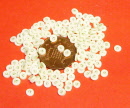bs1