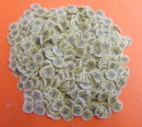 butterfly cane slices 2b small