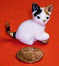 cat lk1