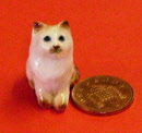 cat lk13