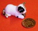 cat lk2