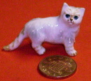 cat lk20
