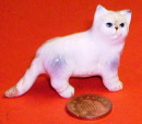 cat lk24