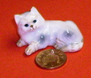 cat lk25