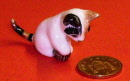cat lk5
