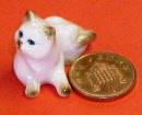cat lk6
