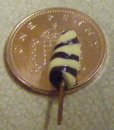 chocolate and banana lolly