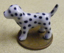 dalmation dog s