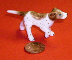dog lp7