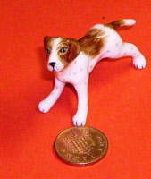 dog lp8