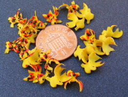 dolls house gold fish e