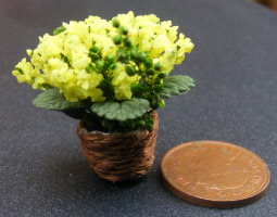 dolls-house-miniature 11-heather-yellow