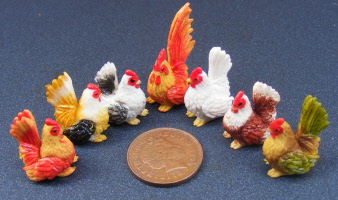 dolls-house-miniature 6 chickens & a cock 1