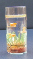 dolls-house-miniature fish tank