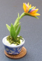 dolls-house-miniature flowers bird of paradise pot multi colour