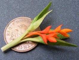 dolls-house-miniature flowers bird of paradise single orange