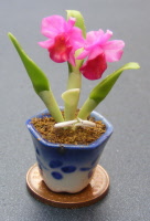 dolls-house-miniature flowers cattleya orchid 3 p