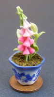 dolls-house-miniature flowers foxglove p pink