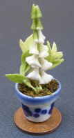 dolls-house-miniature flowers foxglove p white