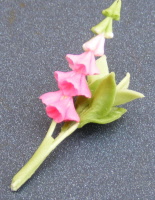 dolls-house-miniature flowers foxglove s pink